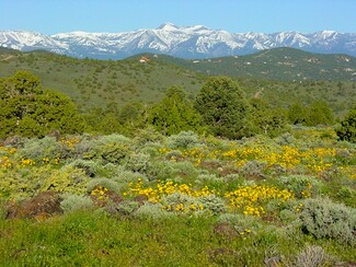 Plus de détails pour Virginia City Highlands: Lakeview Ranch, Virginia City, NV - Terrain à vendre