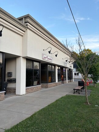 Plus de détails pour 239-243 Buffalo St, Hamburg, NY - Commerce de détail à louer