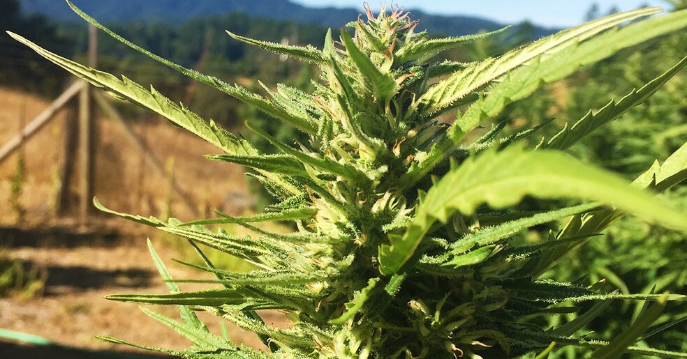 20000 Hulbert Rd, Yorkville, CA à louer - Photo de construction - Image 2 de 4