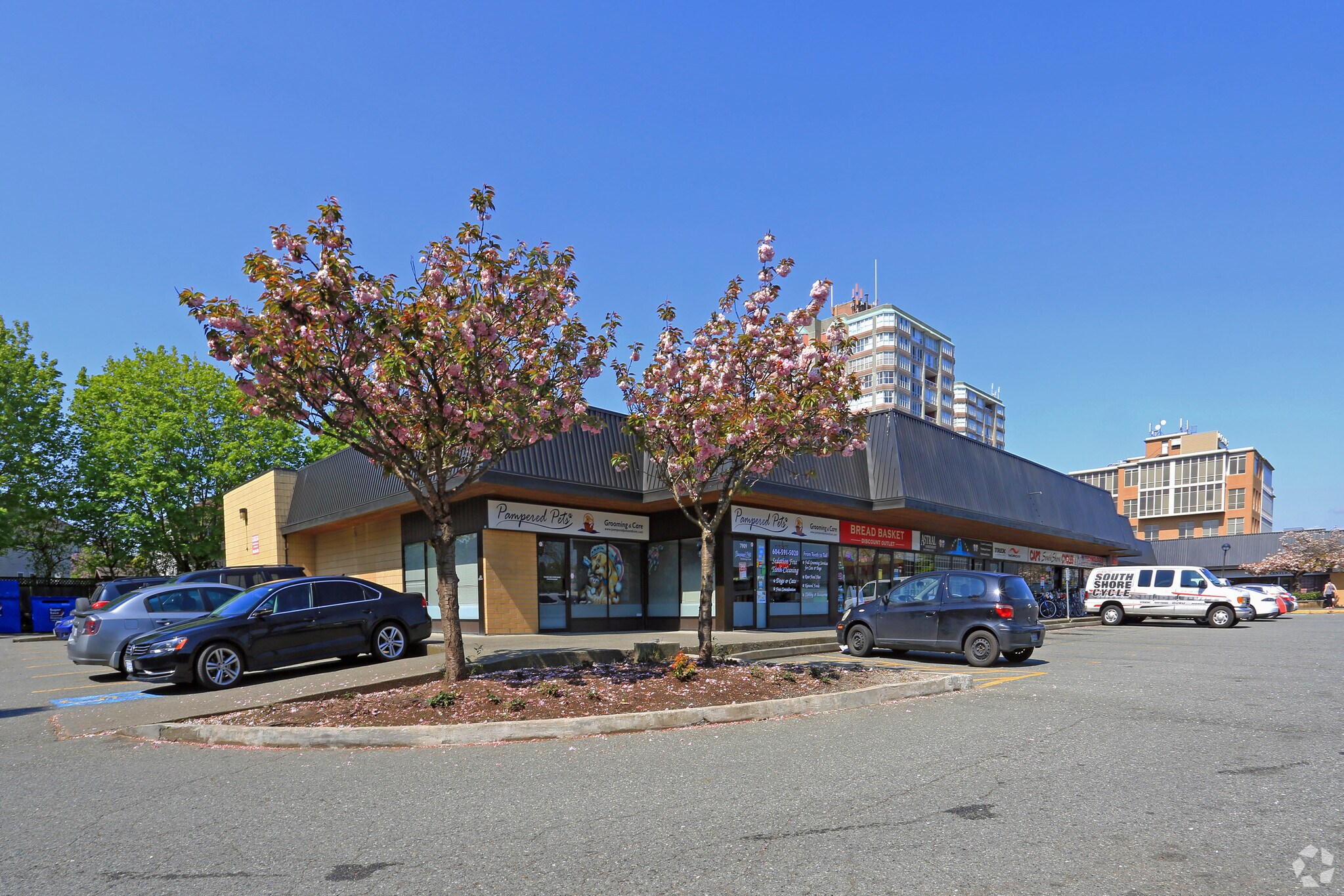 7931 120th St, Delta, BC for lease Primary Photo- Image 1 of 26