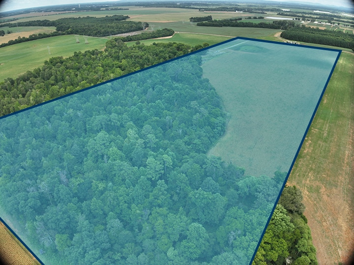 9303 Fennell Rd, Tanner, AL for sale - Building Photo - Image 3 of 3