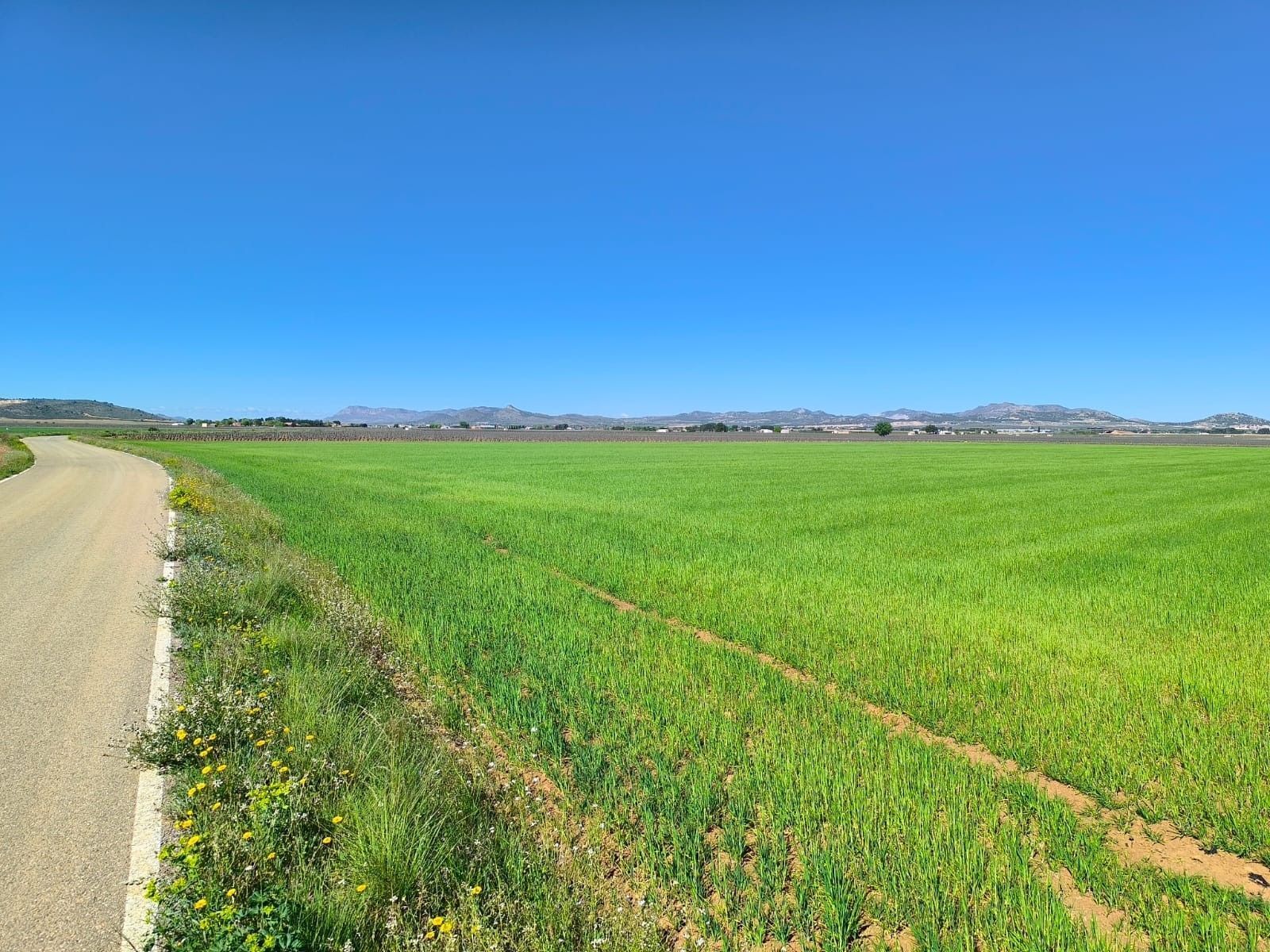 Terrain dans Yecla, Murcia à vendre Aérien- Image 1 de 5