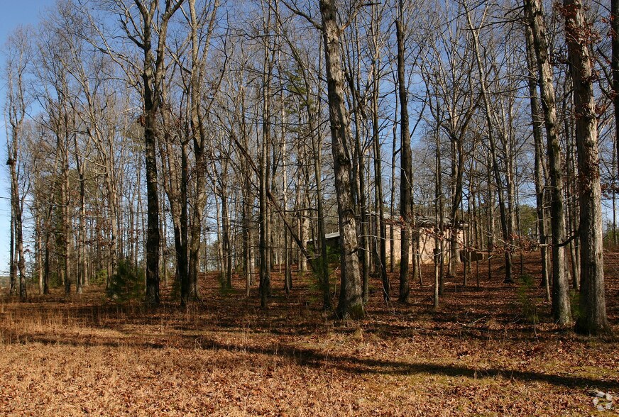 2600 Bethelview Dr, Cumming, GA à vendre - Photo du bâtiment - Image 2 de 2