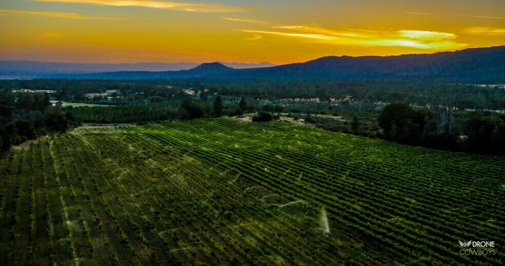 31630 Forwards Rd, Manton, CA à vendre - Photo du bâtiment - Image 2 de 76