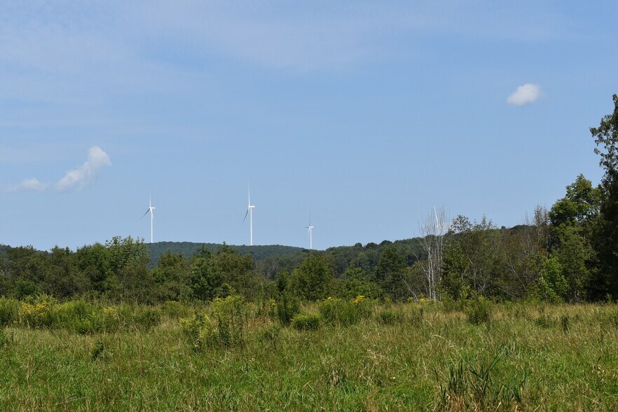 2276 Old Route 17, Windsor Township, NY à vendre - Photo du bâtiment - Image 2 de 22