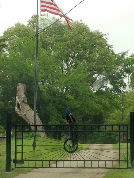 10774 County Road 494, Tyler, TX à vendre - Photo principale - Image 1 de 18