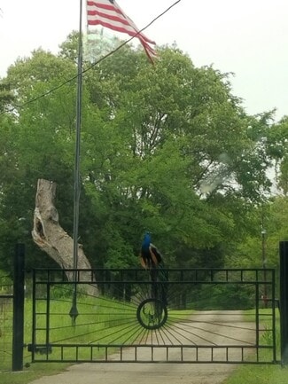 More details for 10774 County Road 494, Tyler, TX - Multifamily for Sale