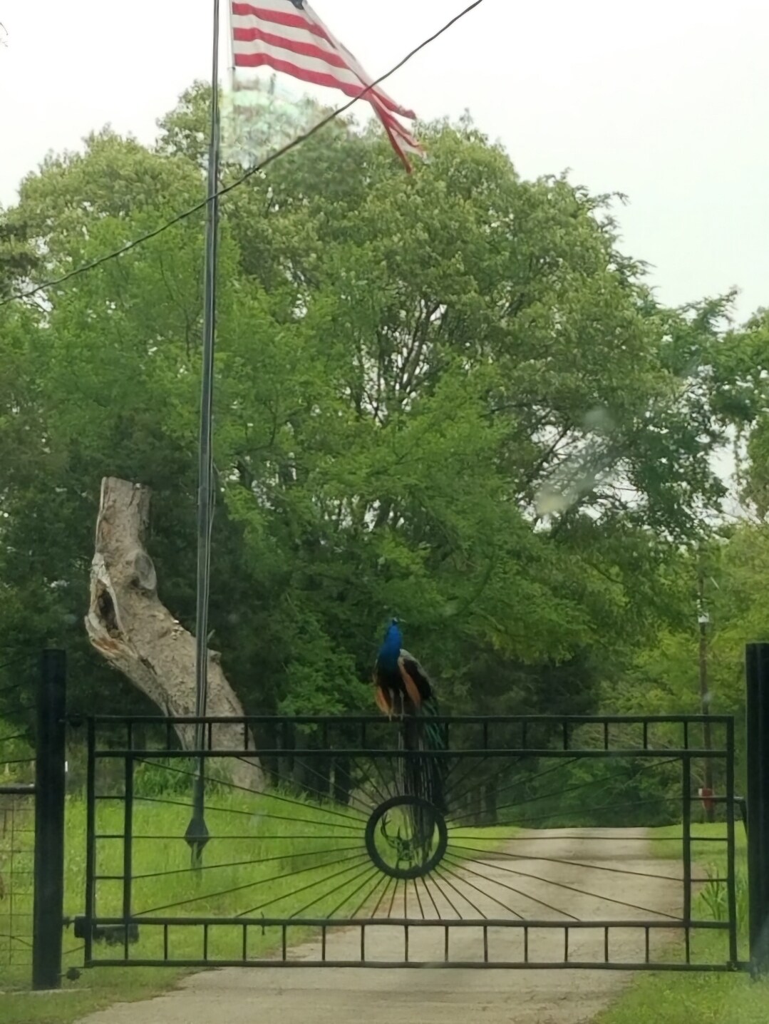 10774 County Road 494, Tyler, TX à vendre Photo principale- Image 1 de 19