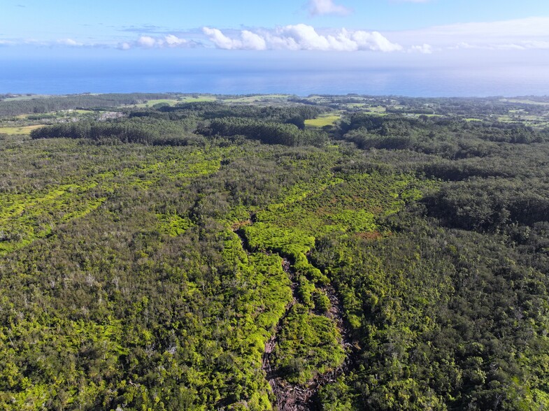 29-773 Chin Chuck Rd, Hakalau, HI à vendre - Photo principale - Image 1 de 4