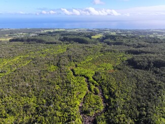 Plus de détails pour 29-773 Chin Chuck Rd, Hakalau, HI - Terrain à vendre