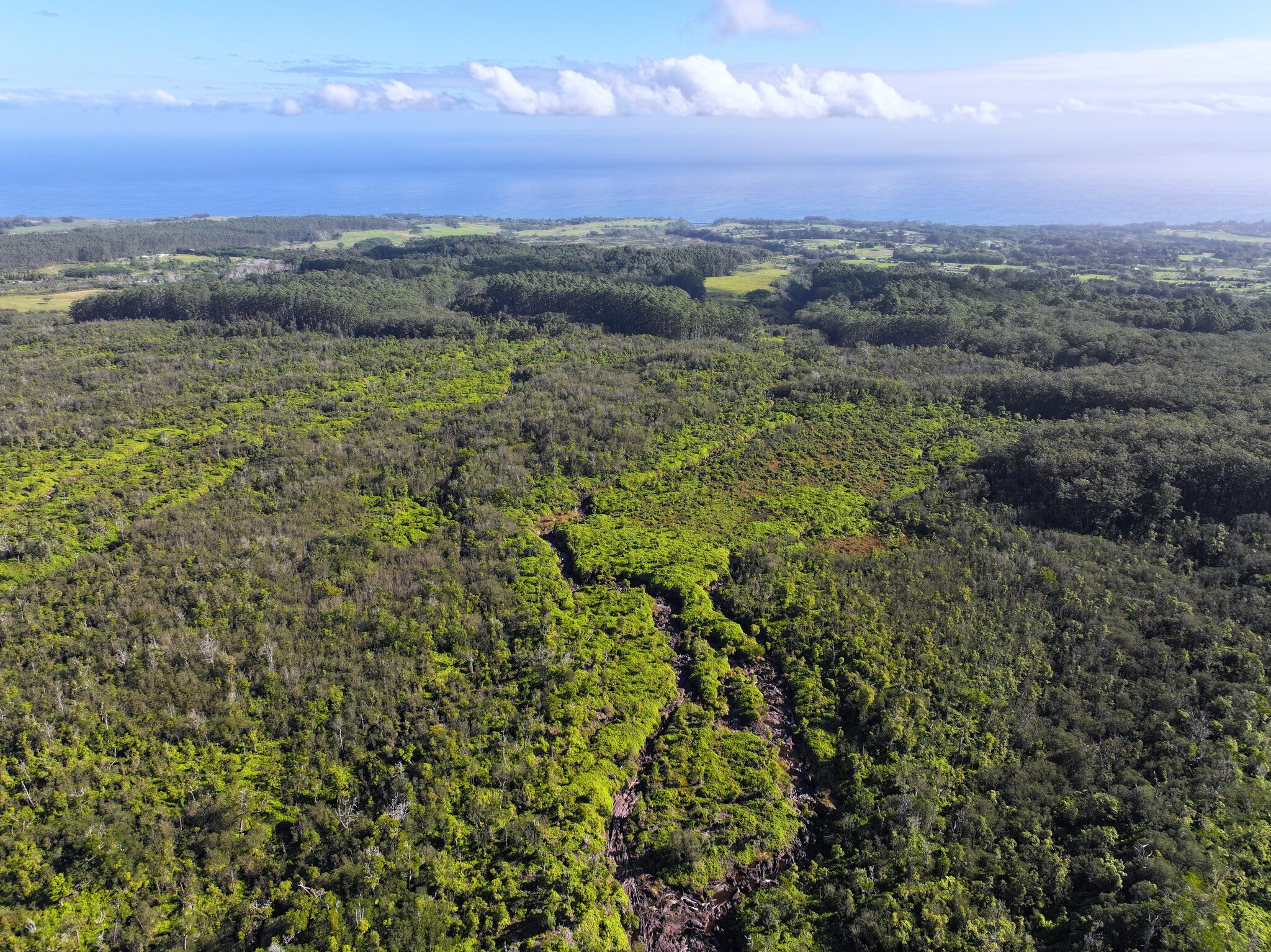 29-773 Chin Chuck Rd, Hakalau, HI à vendre Photo principale- Image 1 de 5