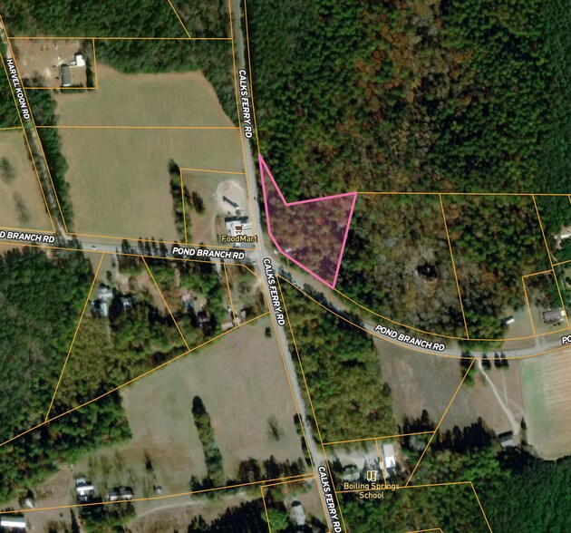 570 Pond Branch Rd, Lexington, SC à vendre - Aérien - Image 1 de 1