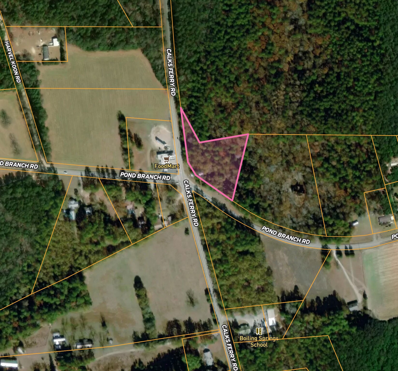 570 Pond Branch Rd, Lexington, SC à vendre Aérien- Image 1 de 1