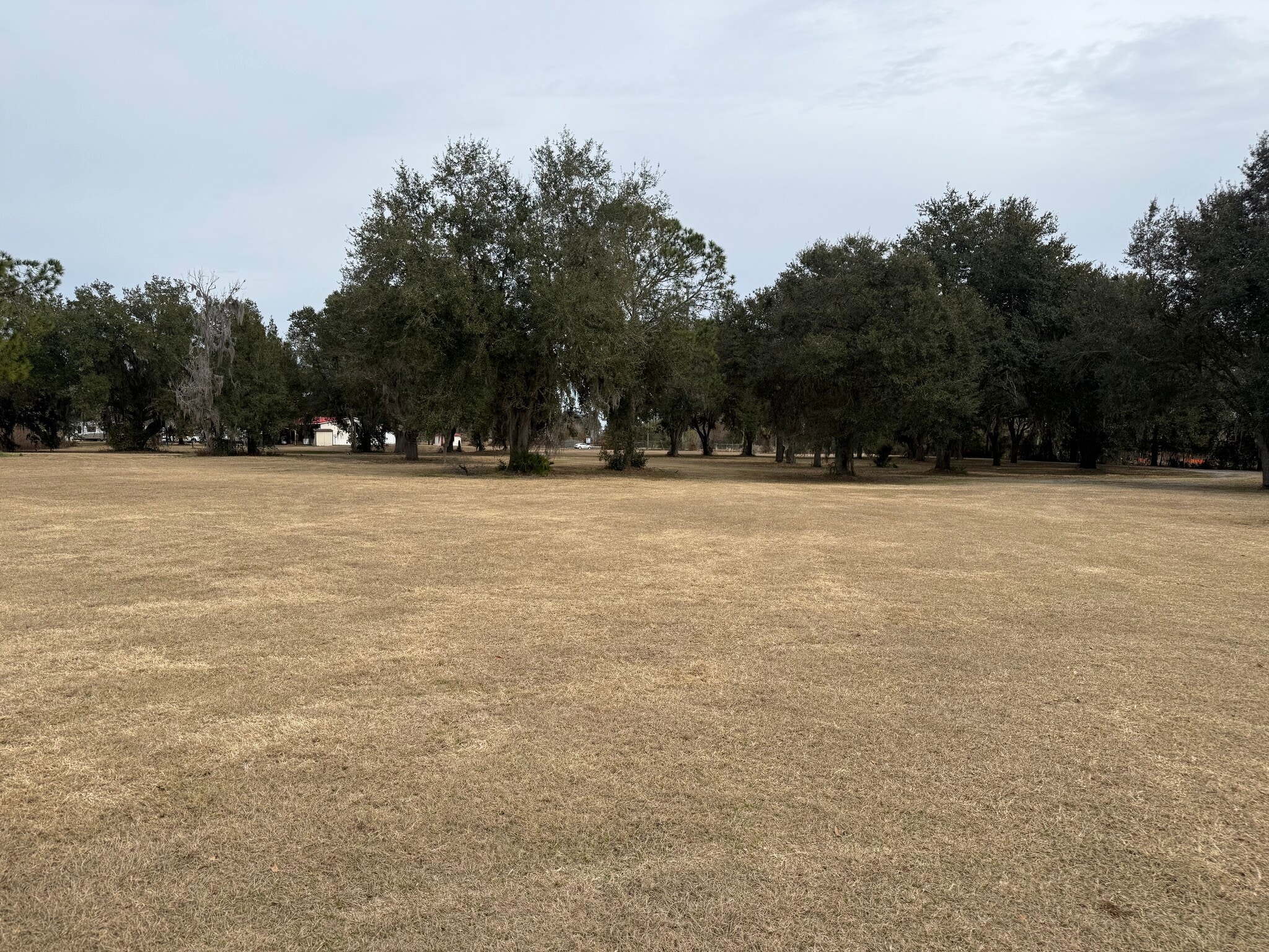 1019 Morris Bridge Rd, Zephyrhills, FL for sale Primary Photo- Image 1 of 13