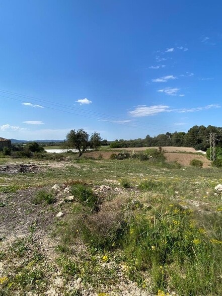 Land in Manacor, Islas Baleares for sale - Aerial - Image 3 of 18