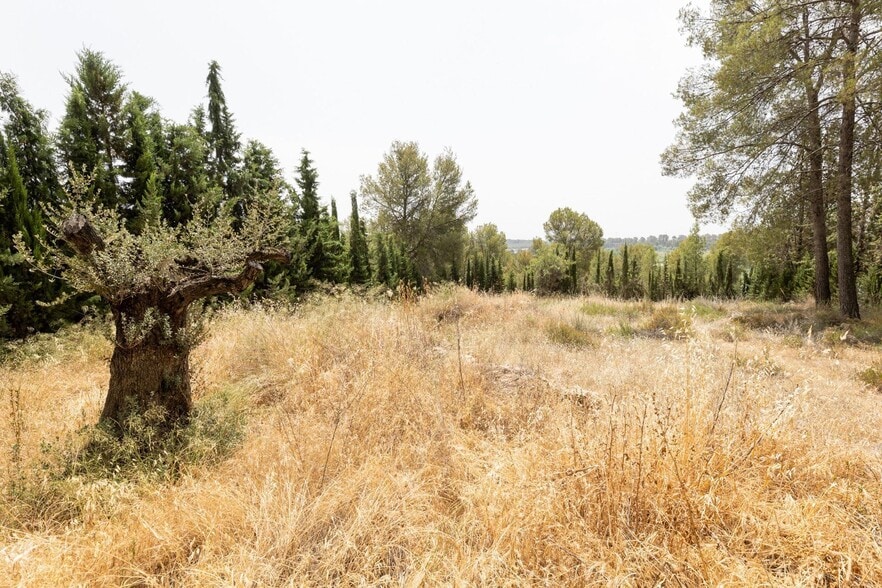 Calle Poetas Populares, Albolote, Granada for sale - Building Photo - Image 2 of 40