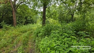 Plus de détails pour 248 Briar Hill Ln, Coldspring, TX - Terrain à louer