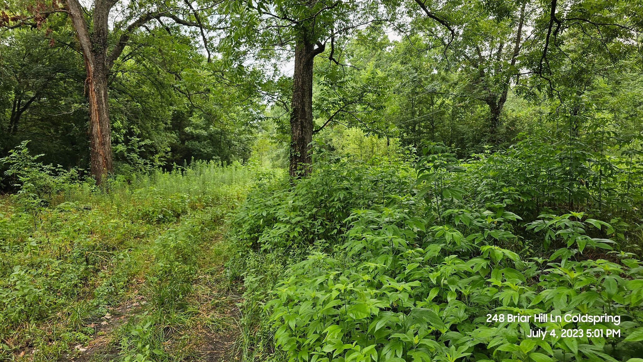 248 Briar Hill Ln, Coldspring, TX for lease Building Photo- Image 1 of 10