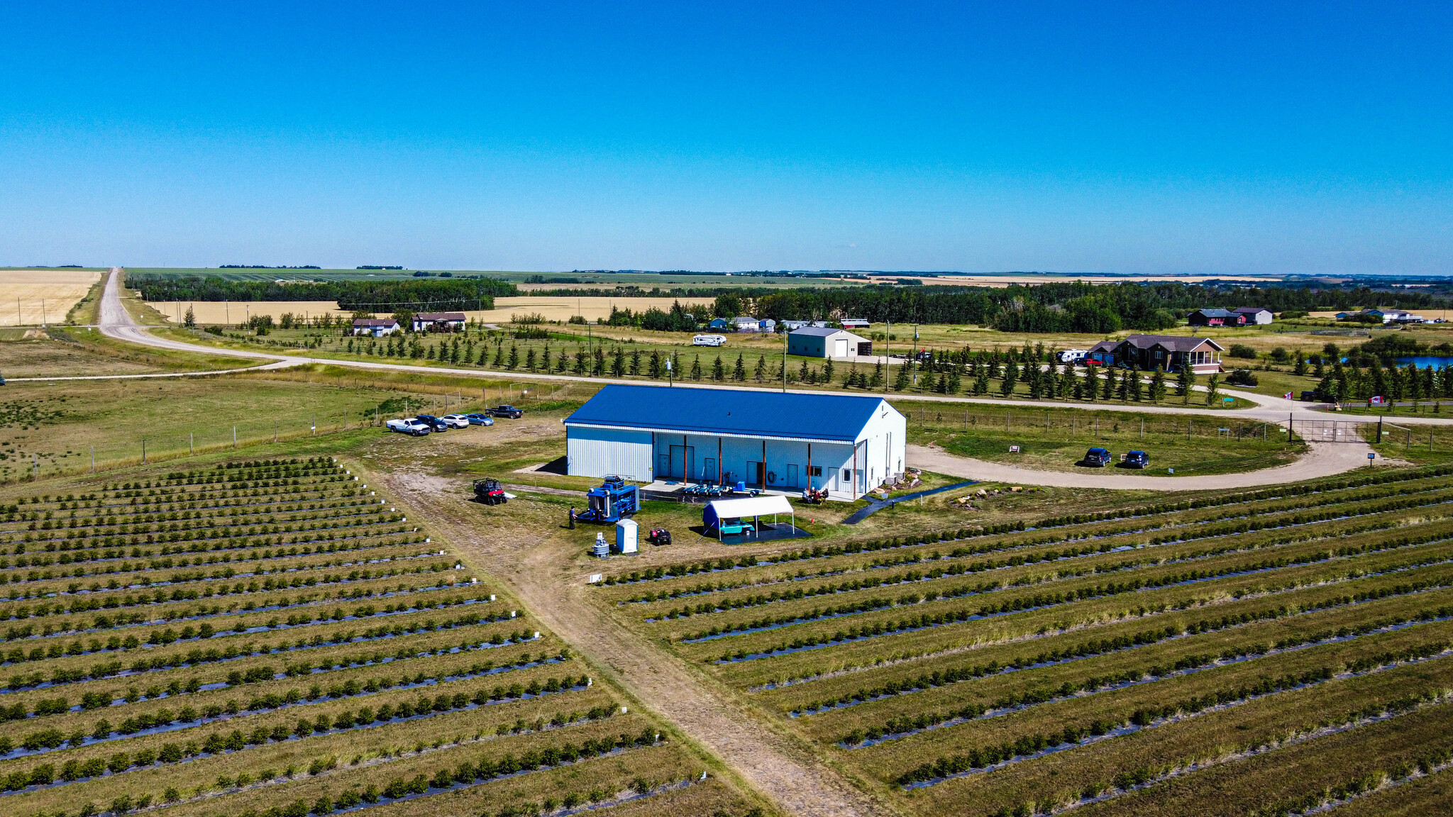 705068 82 -1, Wembley, AB à vendre Photo principale- Image 1 de 56