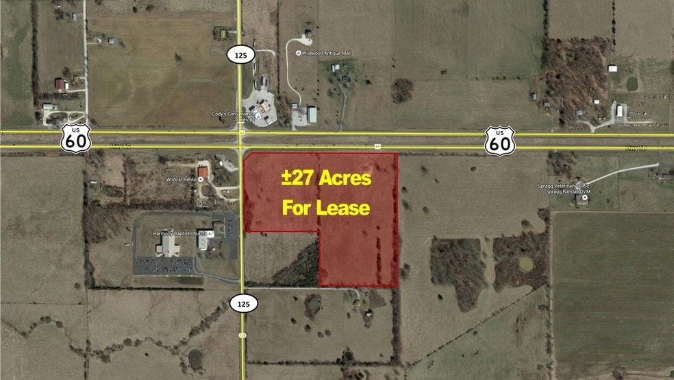 East US HWY 60 & 125, Rogersville, MO for lease - Primary Photo - Image 1 of 4