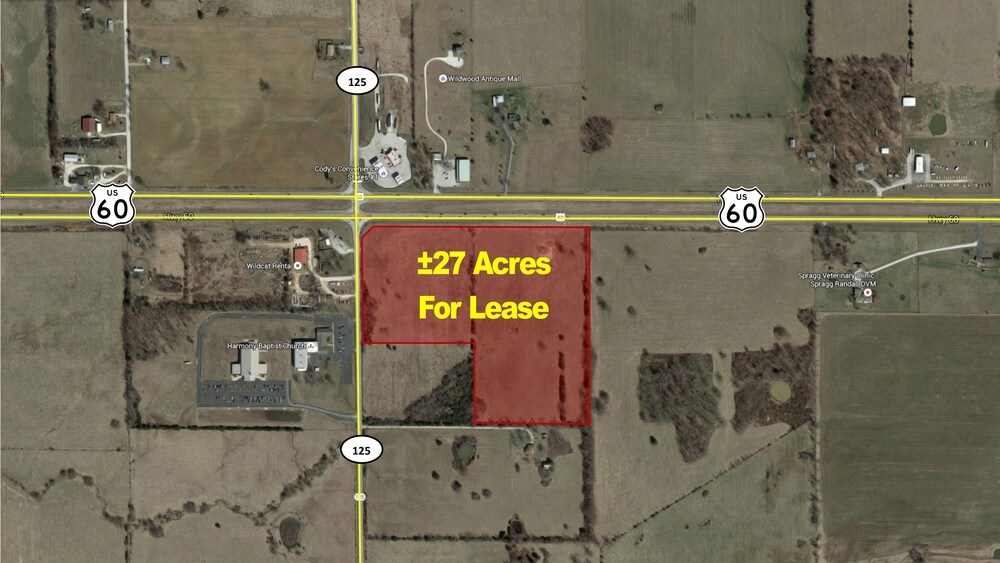 East US HWY 60 & 125, Rogersville, MO for lease Primary Photo- Image 1 of 5