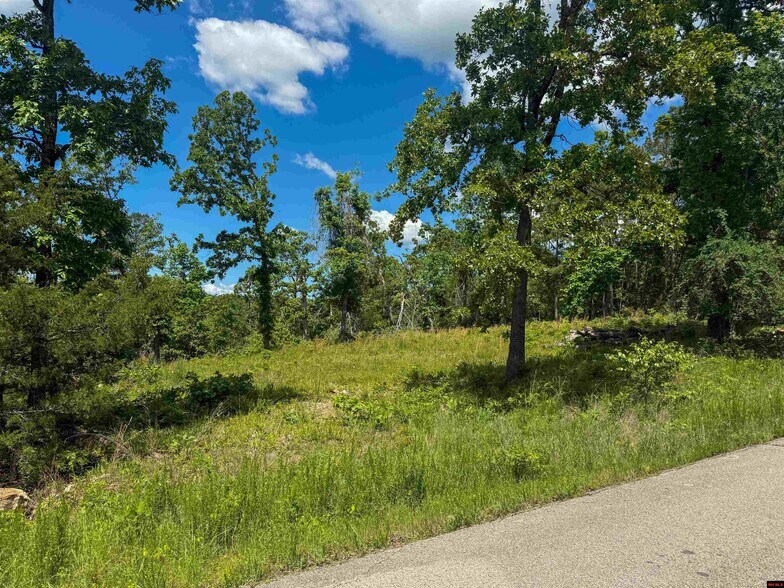 Lot 18 Rustic Ridge Dr, Mountain Home, AR à vendre - Photo du bâtiment - Image 3 de 10