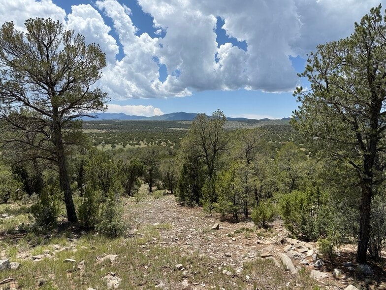 44 Forest 321 Rd, Estancia, NM à vendre - Photo du bâtiment - Image 2 de 32