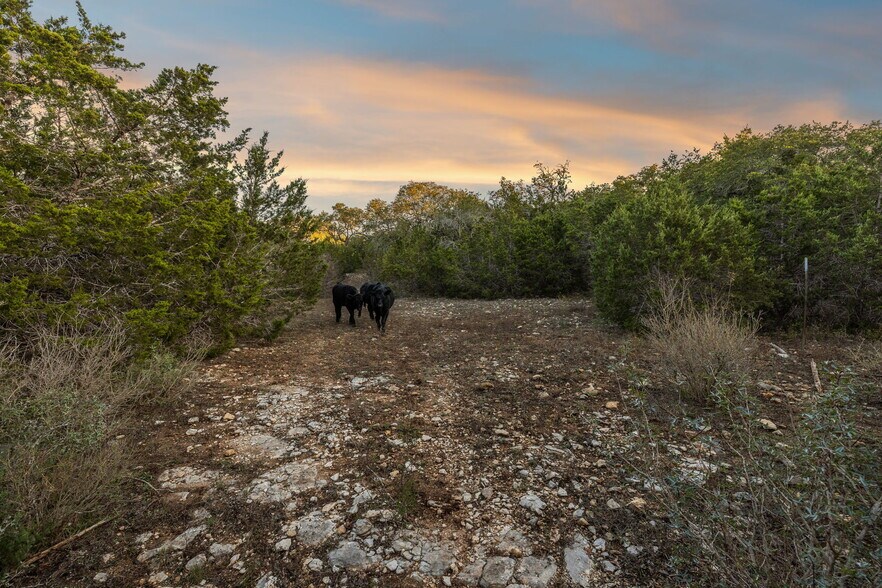678 Ammann Road, Bulverde, TX à vendre - Photo du bâtiment - Image 3 de 21