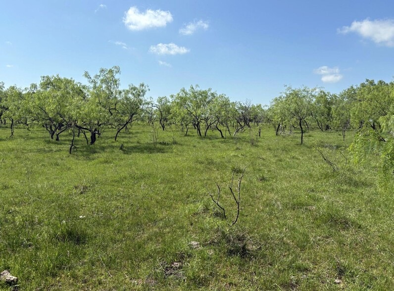 tbd 00 NW C R 4160, Frost, TX for sale - Building Photo - Image 2 of 5