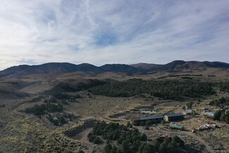 Plus de détails pour 4406 Buckhorn Rnch rd, Pioche, NV - Terrain à vendre