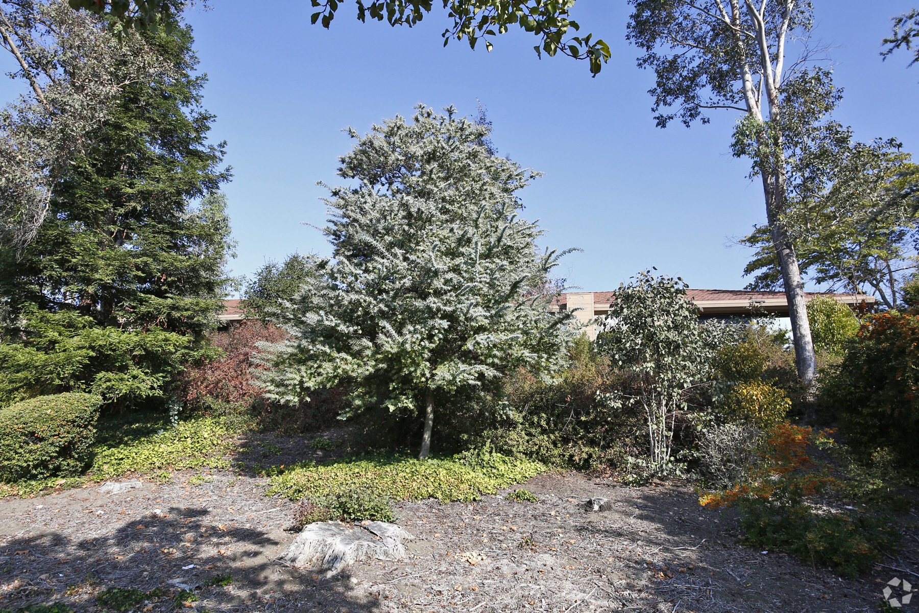 3880 Blackhawk Rd, Danville, CA for lease Building Photo- Image 1 of 9