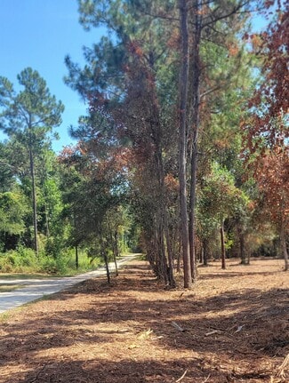 Plus de détails pour Crawfordville Highway, Crawfordville, FL - Terrain à vendre
