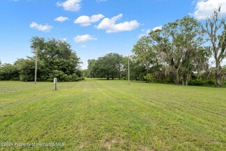 Plus de détails pour 9028 McKendree Rd, Wesley Chapel, FL - Terrain à vendre