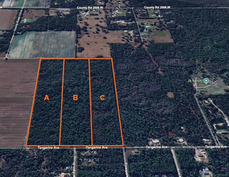 0 Tangerine Avenue, Bunnell, FL à vendre - Photo du bâtiment - Image 3 de 3