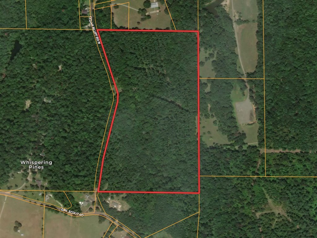0 CR 273, Garrison, TX à vendre Aérien- Image 1 de 18
