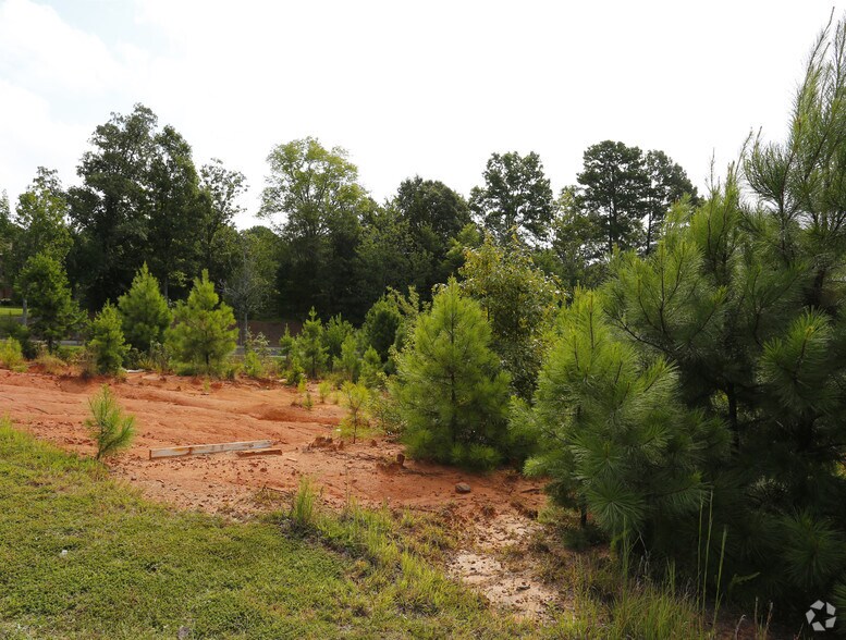 19830 Jetton Rd, Cornelius, NC à vendre - Photo du bâtiment - Image 3 de 12