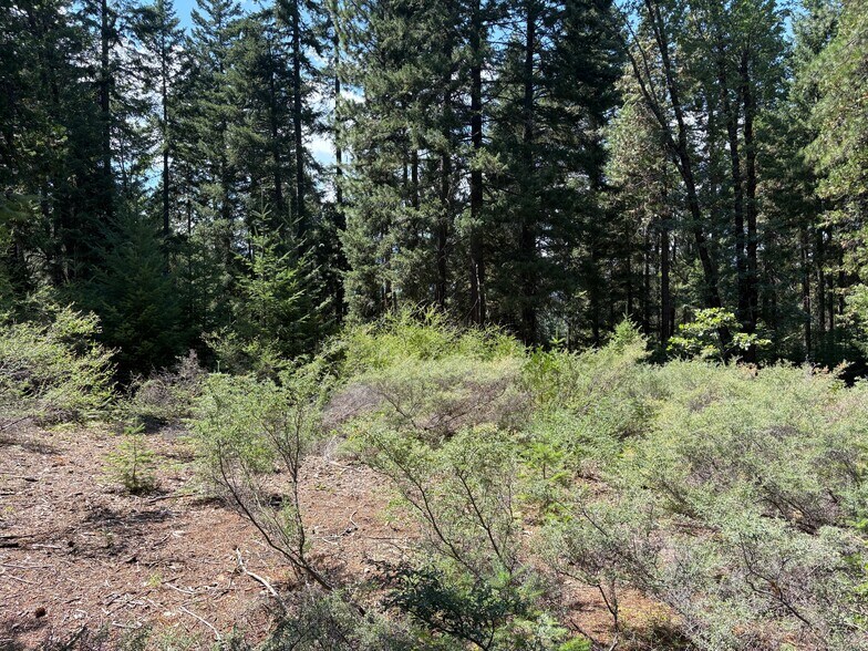 Castle Creek Rd, Mount Shasta, CA for sale - Building Photo - Image 2 of 6