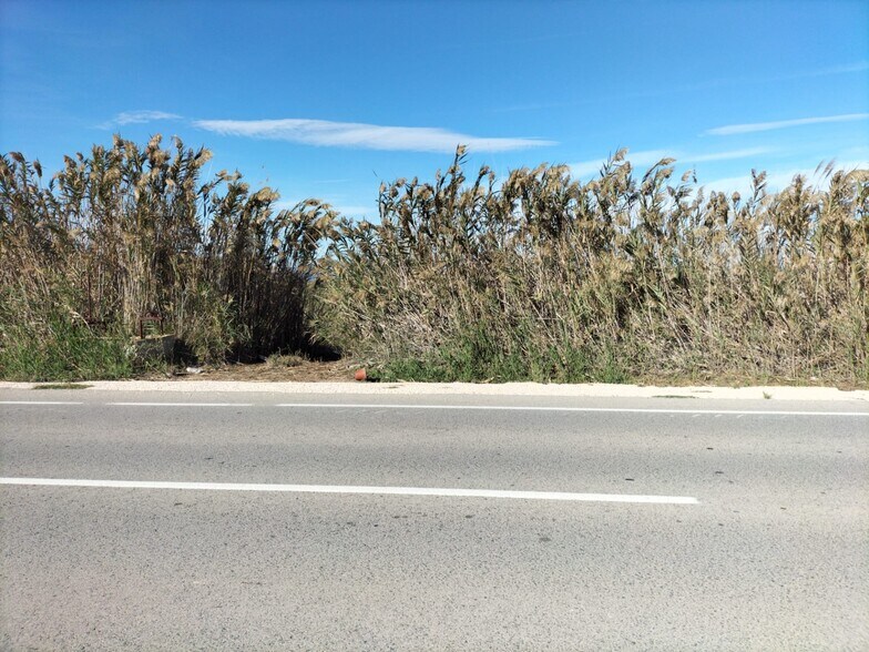 Land in Elche for sale - Building Photo - Image 3 of 7
