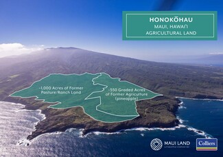 Plus de détails pour Honokohau, Wailuku, HI - Terrain à louer