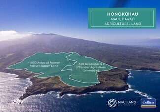 Plus de détails pour Honokohau, Wailuku, HI - Terrain à louer