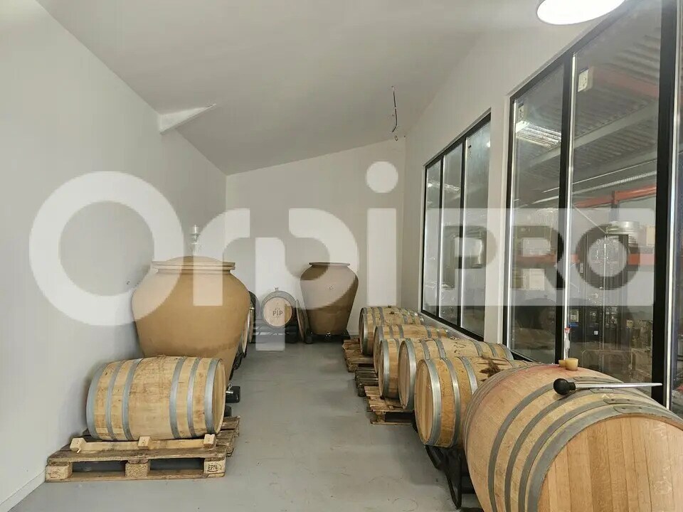 Flex in Bègles for lease Interior Photo- Image 1 of 6