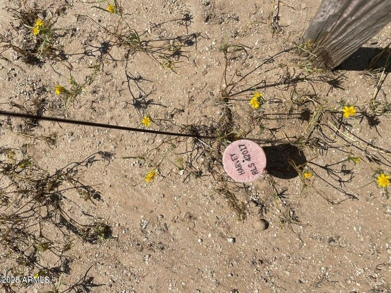 W Lone Cactus Rd & Sun Valley Pkwy & 219th Ave, Surprise, AZ à vendre - Aérien - Image 3 de 4