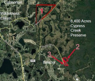 Plus de détails pour Pines Blvd, Land O Lakes, FL - Terrain à vendre