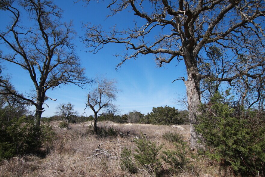 105 Daisy Lane, Dripping Springs, TX à vendre - Photo du bâtiment - Image 1 de 21
