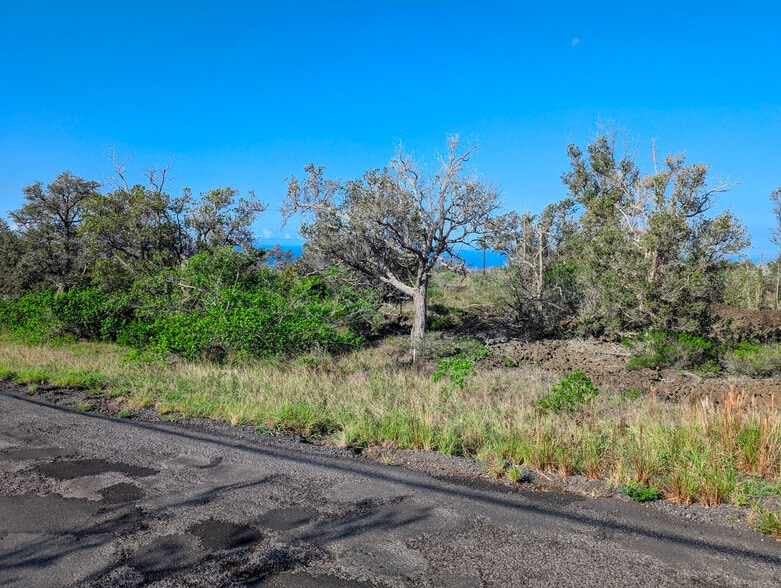 92-8635 Lehua Ln, Naalehu, HI for sale - Building Photo - Image 3 of 9