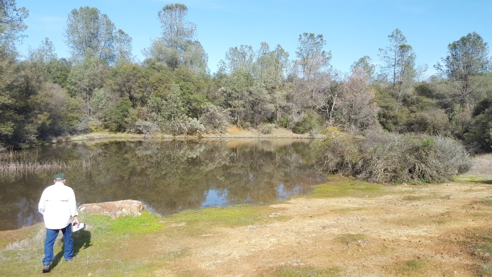 Rattlesnake Bar Rd, Pilot Hill, CA for sale - Primary Photo - Image 1 of 1