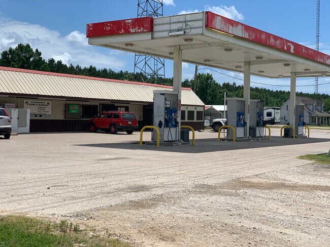 Plus de détails pour 17186 Highway 321, Dayton, TX - Commerce de détail à vendre