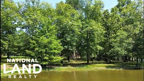 Halls Quarters Rd, Eutaw, AL for sale - Building Photo - Image 3 of 3