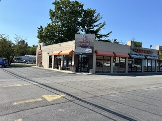 More details for 597-611 Hicksville Rd, Bethpage, NY - Retail for Lease