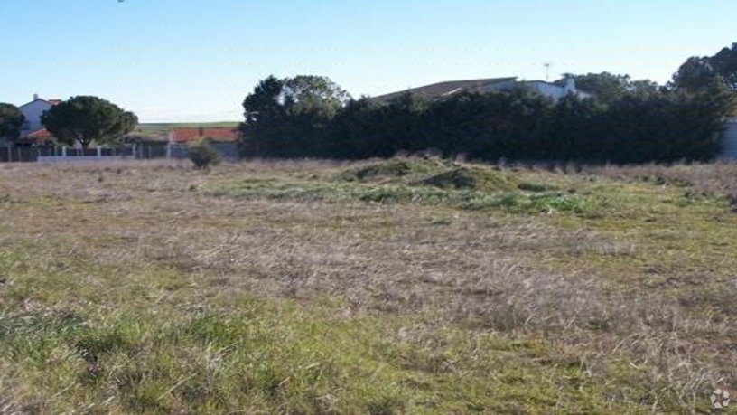 Calle Sector 47 0034 P-022, Casarrubios del Monte, Toledo for sale - Building Photo - Image 2 of 6